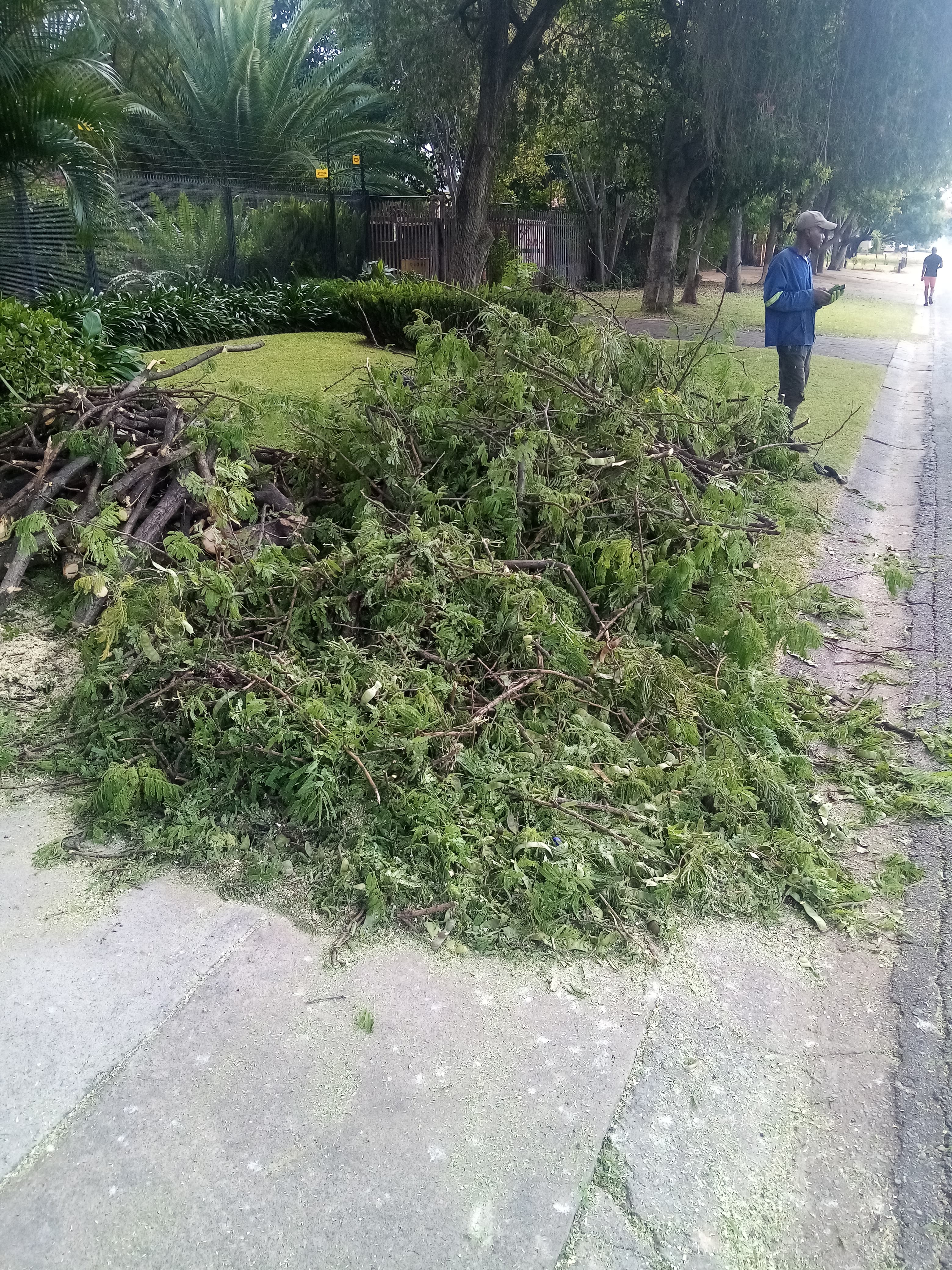 Sidewalk Debris