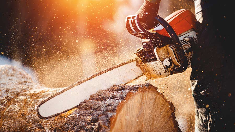 Tree Felling